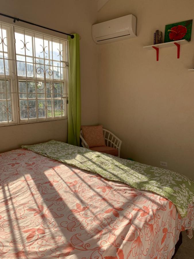 Raivens Nest Bed And Breakfast Christ Church Ngoại thất bức ảnh