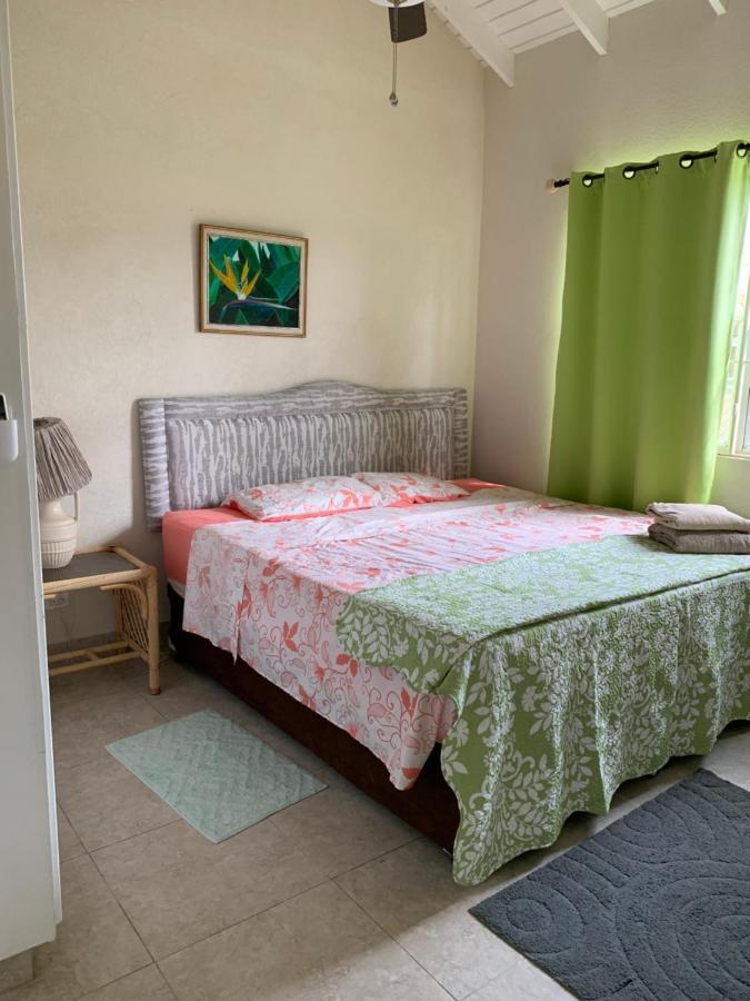 Raivens Nest Bed And Breakfast Christ Church Ngoại thất bức ảnh